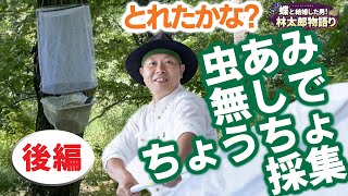 【昆虫採集】ちょうちょGETなるか？！虫網を使わずに簡単にちょうちょを捕まえる方法！後編！！蝶太郎物語りNo.180