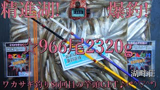 ★ワカサギ２　底層拾い釣りメインの精進湖ワカサギ釣り♪湖畔荘で『９６６匹２３２０ｇ』と大満足ｗ