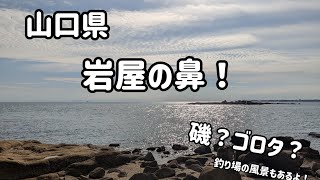 [山口県]磯みたいなゴロタみたいな夕マズメ釣行