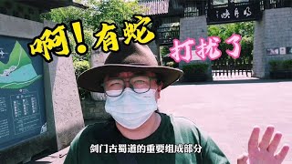 四川广元明月峡，武则天经过这儿权倾天下，唐玄宗经过这儿山河破碎，李白曰：难爬【花喵去吃饭】