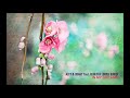 Aley & Oshay feat. Rebecca Louise Burch - In My Dreams (Original Mix)