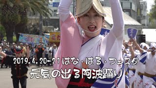 元気が出る踊り②「葉月連・悠久連・菊水連・蜂須賀連」はな・はる・フェスタ2019（2021.6.7）