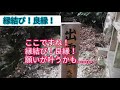 縁結び 良縁 出会い東海エリア【出雲大社の分社】岐阜県武芸八幡宮の中に有ります。試しに行ってみてはいかがでしょう❓