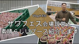 【Vlog430】【多肉植物】ザワフェス会場設営ドキュメント＆素晴らしい出店者さんブース紹介します【多肉イベント】