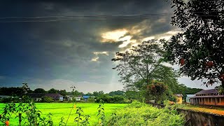 Nature Relaxation (অসমৰ গ্ৰাম্য জীৱনৰ সেউজীয়া ধাননি পথাৰ )#assam #Nature #landscape  #subscribe