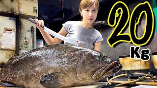 【巨大魚】20キロ超え！高級魚クエを早朝からさばく。