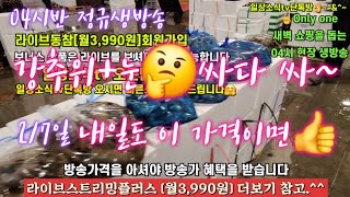 활어횟감 방어 생굴 해삼 전복 꼬막 2/7일  04시반 정규라이브(월~토)☝️Only one 새롭고 싸고 다양한 노량진수산시장 새벽 쇼핑을 돕는 정규생방송(Live)운영~^^