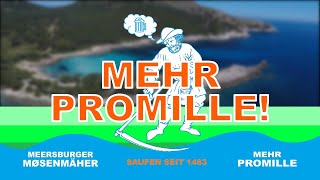 Meersburger Møsenmäher - Mehr Promille (Lyrics Video)