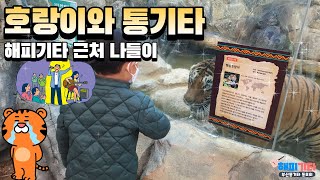 호랑이와 통기타(해피기타 근처 나들이)부산통기타 동호회.해피기타