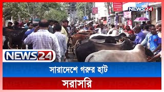 হাটে গরু বেচাকেনার খবর দেখুন সরাসরি | Cow Haat | News24