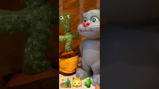 #endless #video Dancing cactus & Aitouch Tom 🐱🌵
