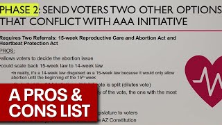 Leaked AZ GOP memo on abortion law details plans