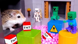 Major Hamster vs Evil Cat in Carrot Cake Hunt Adventure - Minecraft movie with pets