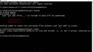 Git Fundamentals - Chapter 9 - How to clean directory using git clean?