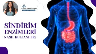 Sindirim Enzimleri Nasıl Kullanılır? - Dr Melek Vuslat Özdoğan