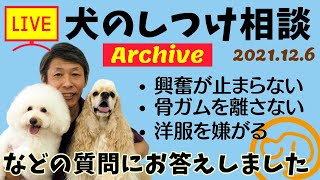 犬のしつけ相談ライブ☆ゲリラライブ【アーカイブ 2021/12/06】