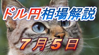 【TAKA FX】ドル円為替相場の前日の動きをチャートから解説。日経平均、NYダウ、金チャートも。7月5日