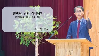 2025년 1월 19일 11시 예배(하나님의 창조 원리의 삶 _창세기 1장 26-31절)_조규형 목사