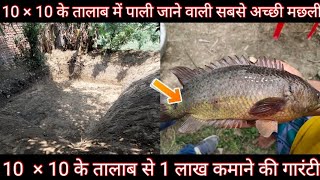 छोटे से छोटे तालाब से होता है बंपर उत्पादन ।। पालिए इस मछली को ।। kawai Fish Farming ।। Koi Fish