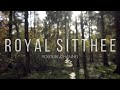 ROYAL SITTHEE YOUTUBE CHANNEL