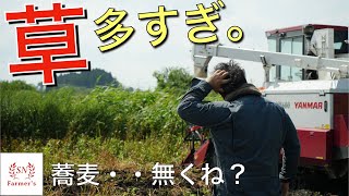 【蕎麦消滅！？】蕎麦刈り時期に連日の大雨で大打撃を受けています。ヤンマー　コンバイン　YH400