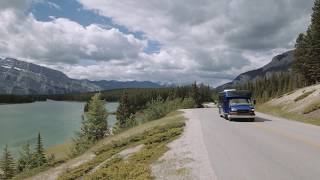 Discover Banff \u0026 Its Wildlife Tour