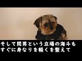 【修羅場】出張中の夫が1日早く帰宅し浴室で顔面蒼白になる私…「なんで…」→間男と入浴中の汚妻の私に起った悲劇が…