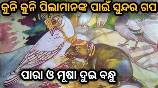 କୁନି କୁନି ପିଲାମାନଙ୍କ ପାଇଁ ସୁନ୍ଦର ଗପ ପାରା ଓ ମୂଷା ଦୁଇ ବନ୍ଧୁ