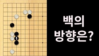 백의 방향은?