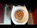 13 flushing old cereal down the toilet