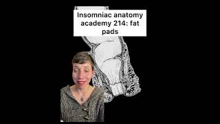 Insomniac anatomy academy 214: fat pads. Love em. Need em. #science #anatomy #sciencefacts #bodies