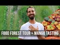 What's Ripening? Food Forest Tour + Mango Tasting