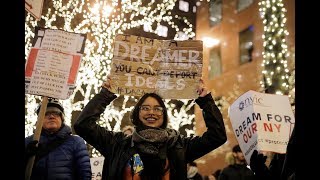 DACA to resume after court blocks Trump administration