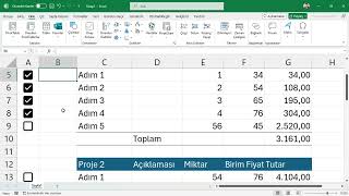 Excel 365 Onay Kutuları ile Projelerin Tamamlanma Adımlarını İşaretlemek-952 | Ömer BAĞCI