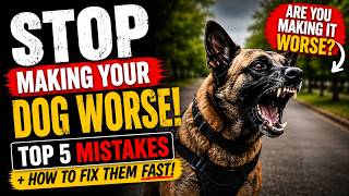 5 Mistakes That Are RUINING Your Reactive Dog’s Progress