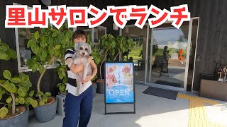 里山スタジアム内の里山サロンでワンコとランチ【ミニシュナVLOG】