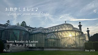 お散歩しましょ♪Strolling the special sites. 【ラーケン王宮温室】【Serres Royales de Laeken】【ベルギー】