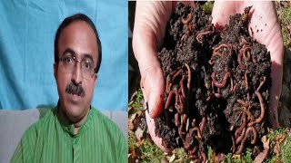 What is soil fertility? ಮಣ್ಣಿನ ಫಲವತ್ತತೆಯನ್ನು ನಿರ್ಧರಿಸುವ ಮಣ್ಣಿನ ಮೂರು ಗುಣಗಳು ಯಾವುವು ಗೊತ್ತಾ?