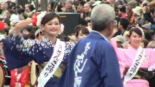 盛岡さんさ踊り 東北六魂祭 TOKYO SHINTORA MATSURI 東京新虎まつり2016