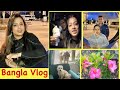 Bangla Vlog | Our new garden plants | America তে আজ বাবা মা দারুন খুশি | Bengali life in America