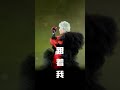 【華晨宇 2024火星巡迴演唱會】（杭州站）准备好，跟著 花花 的音樂“大開殺戒”吧！ 抖音視頻 ！ cr 火星演唱會marsconcert