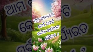 ଆମ ଶରୀରେ କେଉଁ ଅଙ୍ଗଟି ସର୍ବଦା କାର୍ଯ୍ୟରତ ରହିଥାଏ ?#shortsfeed #shorts #shortsviral #gkforodia