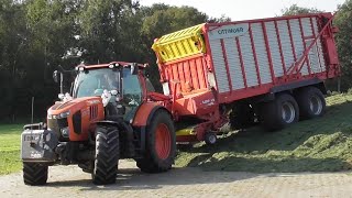 Baak grass silage