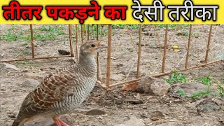 तीतर पकड़ने का देसी तरीका। तीतर का शिकार कैसे करे। 🦆 तीतर का आवाज से शिकार तितर फन्दा।।