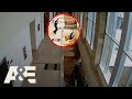 Man Attempts DEATH-DEFYING Escape | Court Cam | A&E