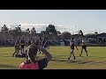 wrfl 2022 div3 wyndham suns vs tarneit