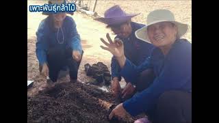 โคก หนอง นา พัฒนาชุมชน แปลงนางสุภาภรณ์ มิละวาน บ้านโนนดู่ อำเภอบัวลาย จังหวัดนครราชสีมา