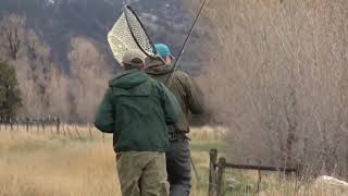 MSU library has hidden gem - massive fly fishing collection