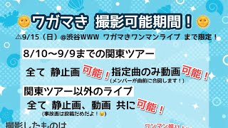 撮影可能限定ライブまほらまさんコラボ曲『ユビキリゲンマン』20240831