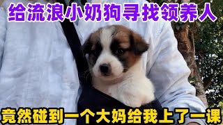 给流浪小奶狗寻找领养人，竟然碰到一个大妈给我上了一课